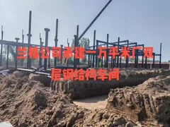 প্রিফ্যাব্রিকেটেড স্টিল ফ্রেম বিল্ডিং-লং নির্মাণ